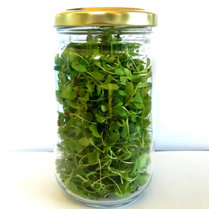 Microgreens Alfalfa (40g)